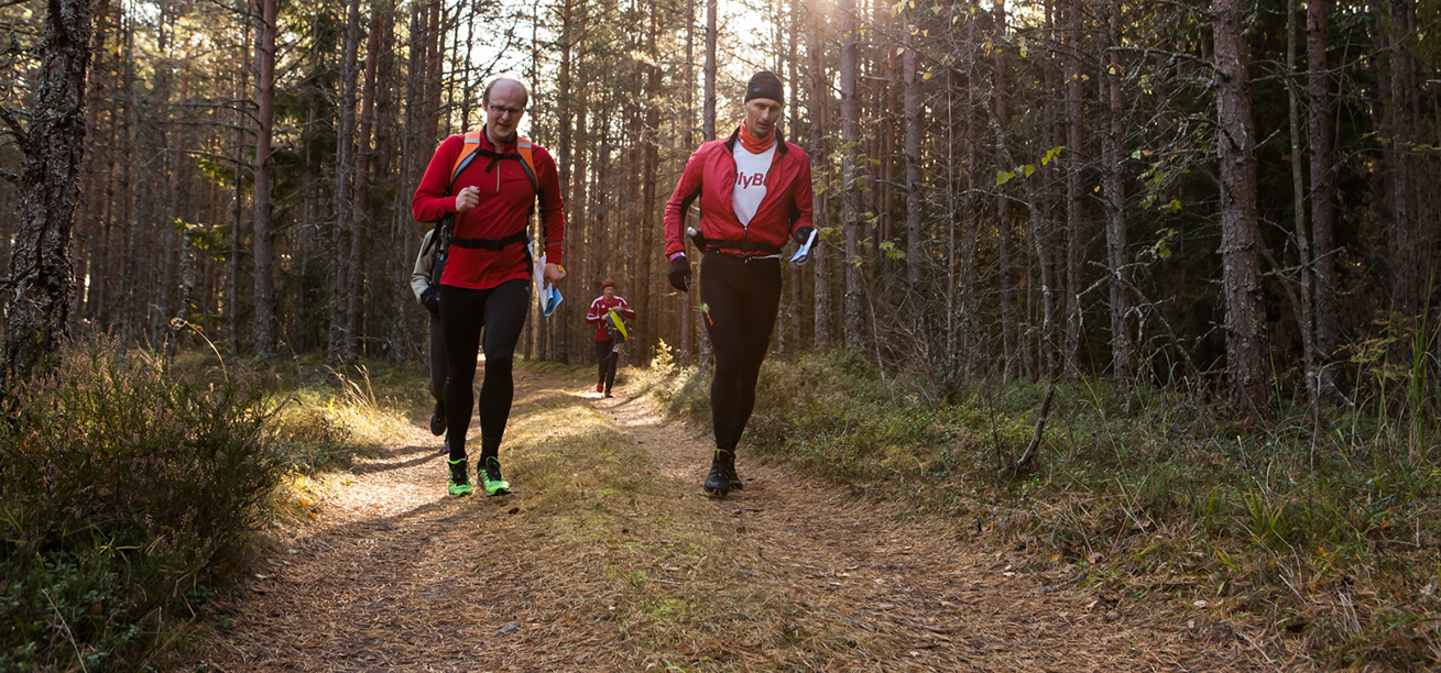 TAOK rogaine competition in Estonian forest